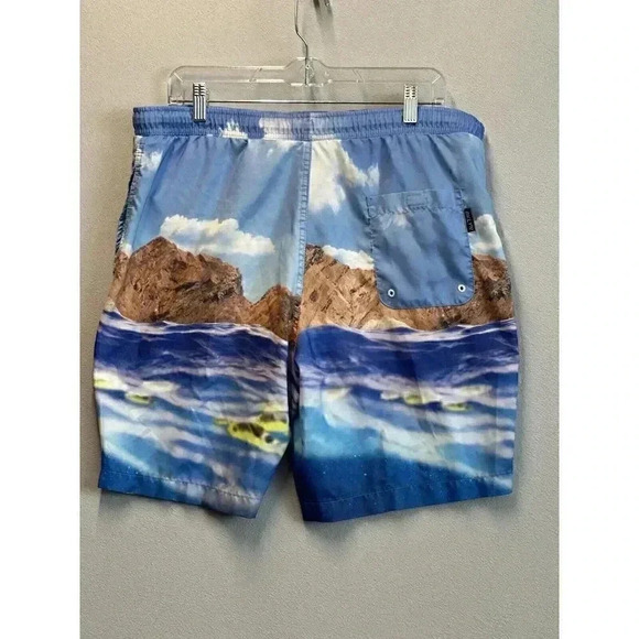 Men's Brooklyn‎ Cloth Mfg Co Volley Swim Trunks Size Large Ocean Beach Design - Picture 3 of 10